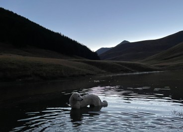 LONGON, an alpine pasture, a refuge