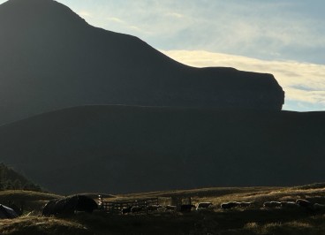 Internships in mountain pastures
