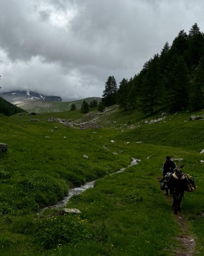 image4